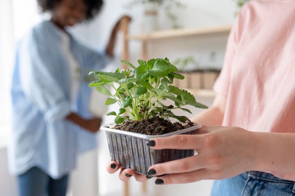 Plant Swap Kitsap Mall